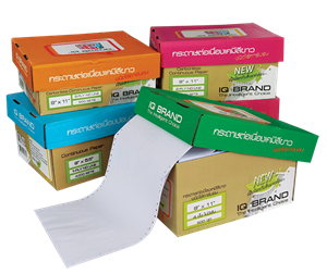 Picture of กระดาษต่อเนื่องเคมีขาว IQ Brand 9x5.5 - 4 ชั้น