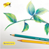 Picture of i-Paint ดินสอสีลบได้ สีไม้ลบได้ ไอเพ้นท์ IP-PC 24สี